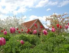 Foto mit freundlicher Unterstützung der Bad Zwischenahner Touristik GmbH Foto mit freundlicher Unterstützung der Bad Zwischenahner Touristik GmbH